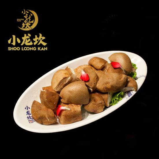 Shiitake Mushroom ⾹菇
